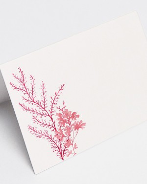 PLACE CARDS "CORAL REEF"