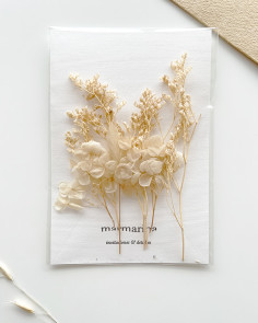 Dried Flowers Pack Beige Sand